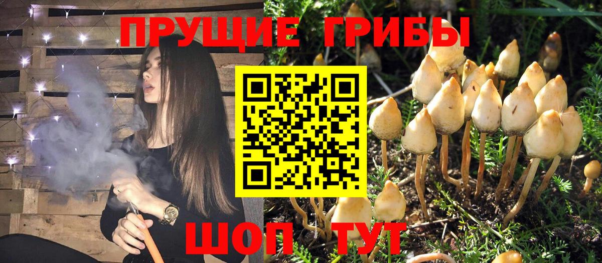 Псилоцибиновые грибы Magic Shrooms Лысьва